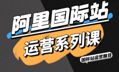 醒目老师·阿里国际站运营系列课(更新11月)跨境课程-外贸教程-精品网课-电商运营课库课堂